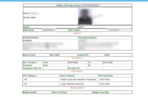 Online Driving Licence Download 2024, Guide Images 